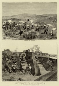 La recente rivolta nel Transvaal